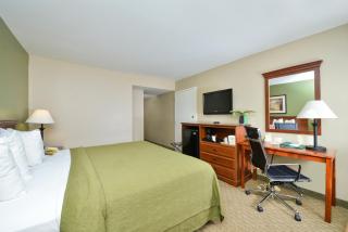 Quality Inn & Suites Tampa-Ybor City - Tampa - 9