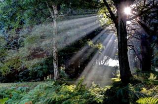 Best Western Chilworth Manor Hotel - Southampton - 8