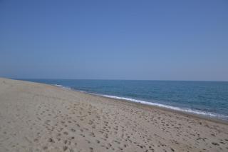 Le patio de Torreilles-Plage - Torreilles - 1