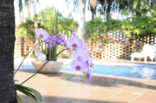 Vila Romana Park Hotel - Três Lagoas - 8