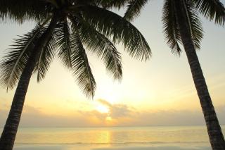 Sultan Sands Island Resort & Spa - Kiwengwa - 5