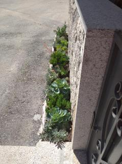 Casa Morgado - Braga - 0