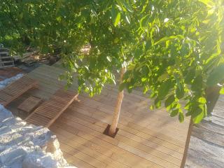 Brandy House Hedonica - 7