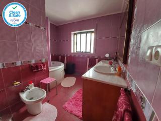 Nelocas House - Ponta Delgada - 4