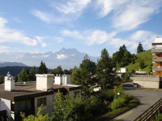 Roc d'Orsay C15 - Leysin - 8