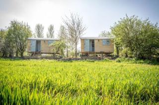 Perkins luxury shepherd huts - Nottingham - 4