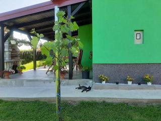 Ruralna kuća za odmor Viktorija - Čaglin - 5