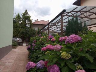 Simada Green Guesthouse - 4