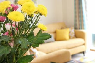 Beachside apartment, sea views - St Merryn - 2