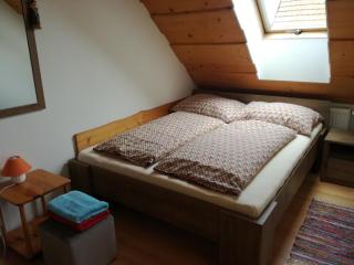 Apartmány Lenko- free bus to Jasná, Chopok, to Tatralandia - Liptovský Mikuláš - 5