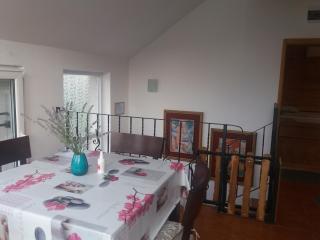 Studio apartmani Sofija - Vrdnik - 8