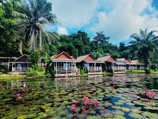 Holiday Resort - SHA Plus - Ko Yao Noi - 0