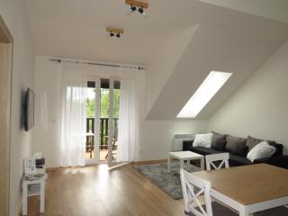 Apartman Honey - Dolní Morava - 5