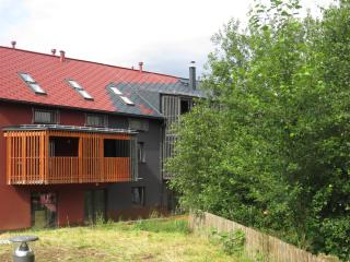 Apartman Honey - Dolní Morava - 9