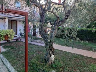 Studio Rocco - 6