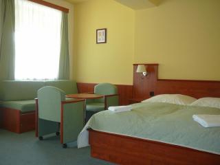 Hotel Praha - Deštné v Orlických horách - 1