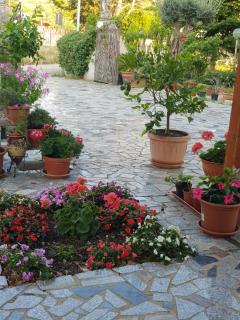 La tenuta di panfilo - Paglieta - 3