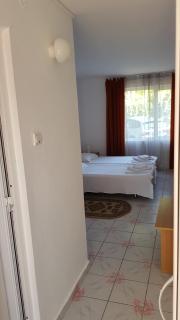 Hotel Camelia - Jupiter - 4