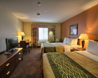 Comfort Inn Okemos - East Lansing - 7