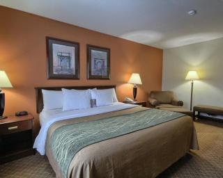 Comfort Inn Okemos - East Lansing - 5