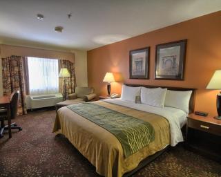 Comfort Inn Okemos - East Lansing - 9