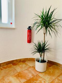 Villa Amica - Trogir - 7