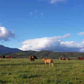 Les Cases De Borrells - Lladurs - 5