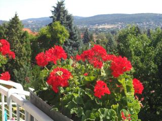 Maria Apartman - Hévíz - 4