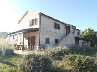 Poggio delle Lavande - 7