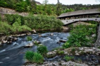 Das Waldhaus - Forbach - 6