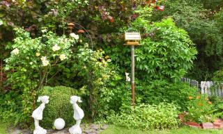 Ferienhaus Menschen, Meehr & Wilder Wein - 5