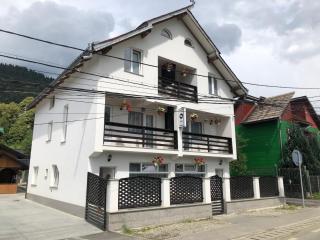 Pensiunea Alyna - Borşa - 0