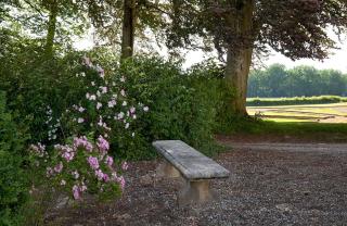 Chateau de Joyeux - Gites - Joyeux - 6