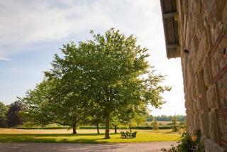 Chateau de Joyeux - Gites - Joyeux - 3