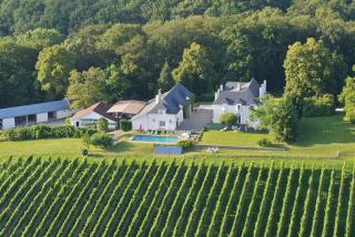 Clos Mirabel Manor - Holiday rental - 9