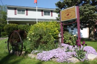 Carrousel Bed & Breakfast - Cayuga - 0