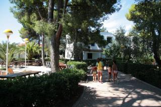 Villaggio Turistico Residence Delfino - 9