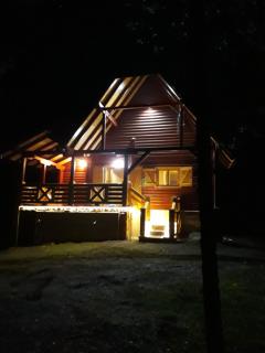 IN TARA KUCA ZA ODMOR - Jevtići - 0