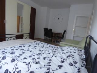 Bega Apartman - Barcs - 0