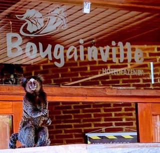 Bougainville Hotel Fazenda - 7