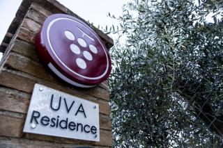 B&B - Uva Residence - Fano - 5