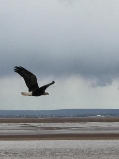 Cresthaven By the Sea - 7