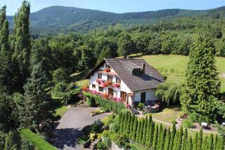 La Maison Fleurie - Dieffenbach-au-Val - 9