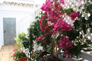 Apartamento en La herradura con Piscina y PARKING - La Herradura - 5