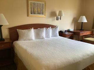 Luxury Inn & Suites - Silverthorne - 7