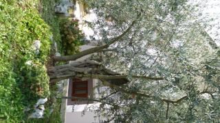Apartments Libera - 7