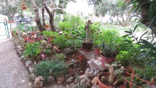 Apartments Caleta - 6