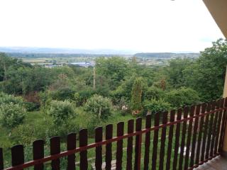 Dedinje - Jagodina - 5