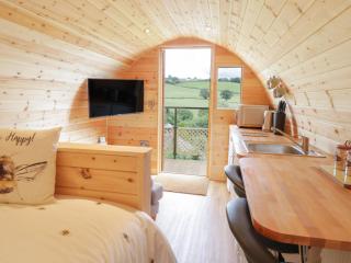 The Rhiw - Newtown - 7