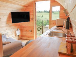 The Rhiw - Newtown - 6